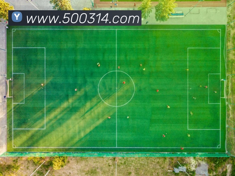 500彩票网官方平台生态图